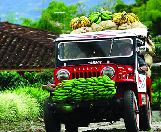 agencia de viajes en medellin